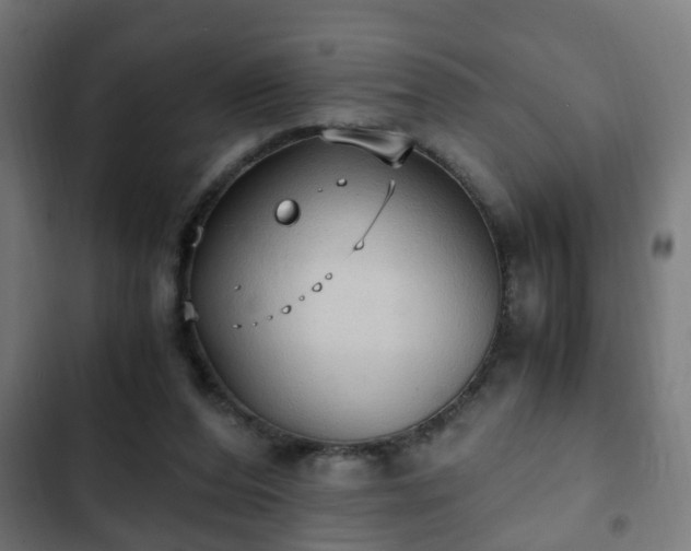 X0000103130208200808291323