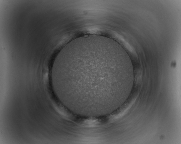 X0000103130213200808291323