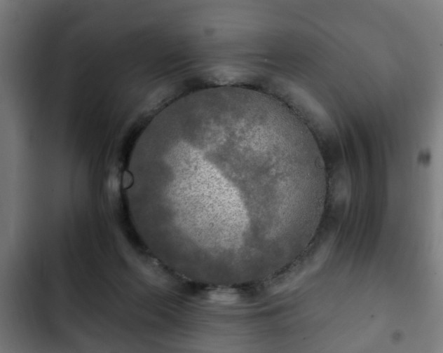 X0000103130214200808291323