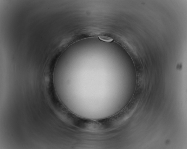 X0000103130215200808291323