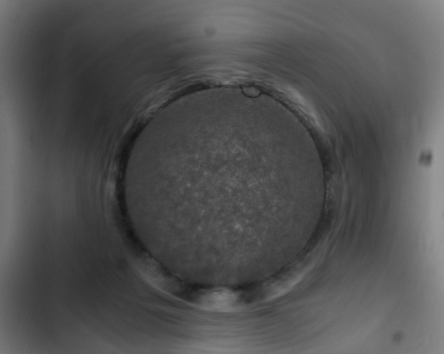 X0000103130217200808291323