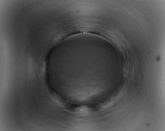 X0000103130219200808291323