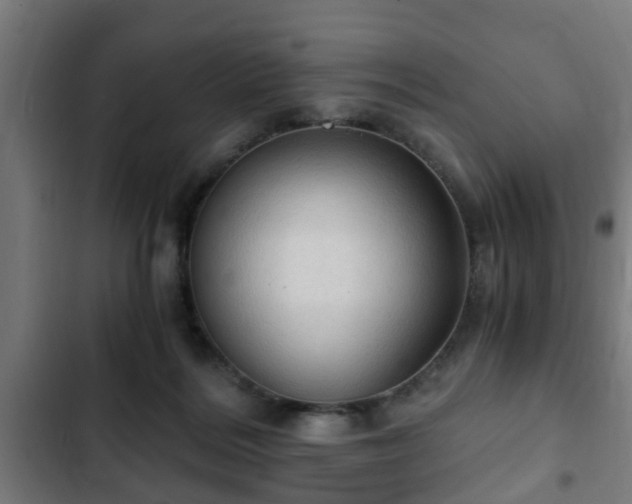 X0000103130220200808291323
