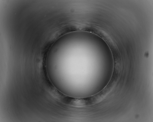 X0000103130221200808291323