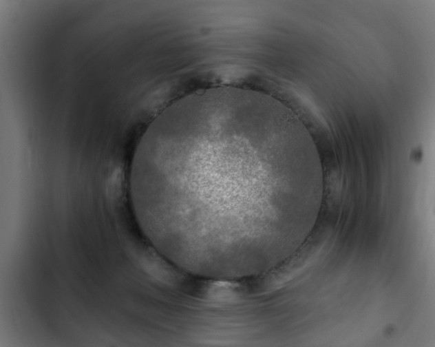 X0000103130222200808291323