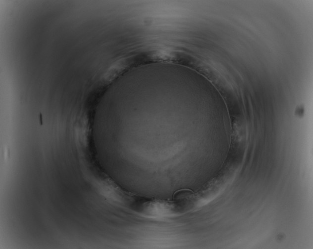X0000103130223200808291323