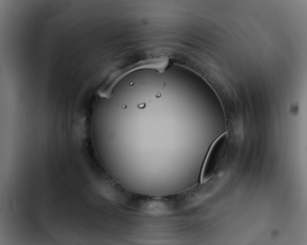 X0000103130224200808291323