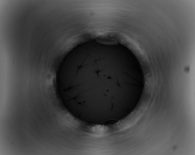 X0000103130225200808291323
