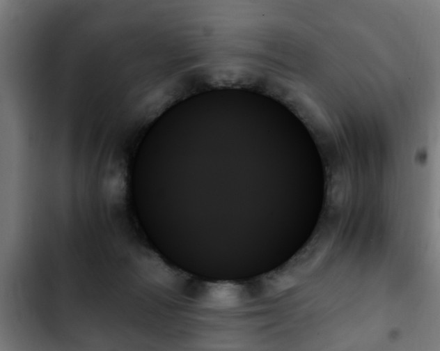 X0000103130226200808291323