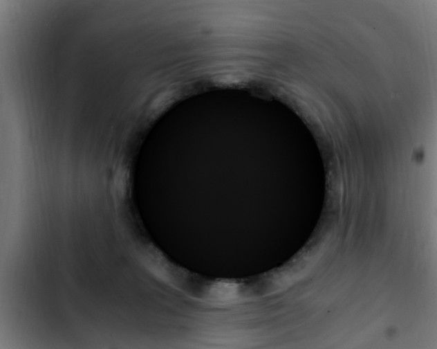 X0000103130227200808291323