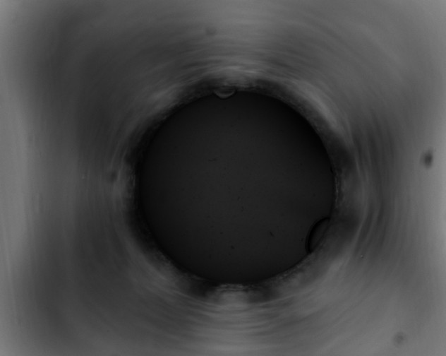 X0000103130228200808291323