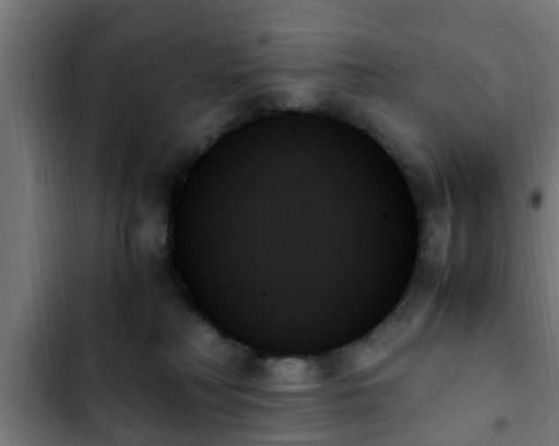 X0000103130230200808291323