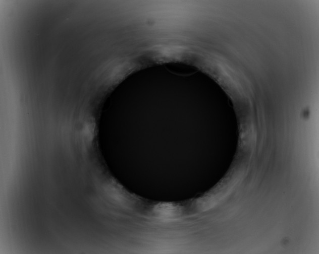 X0000103130231200808291323