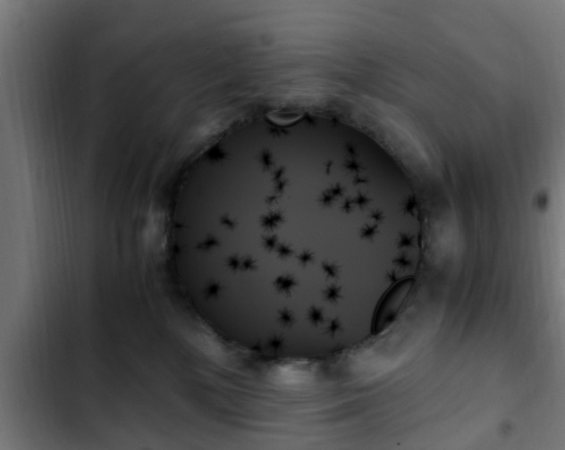 X0000103130232200808291323