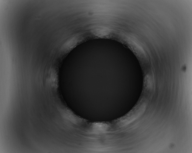 X0000103130234200808291323