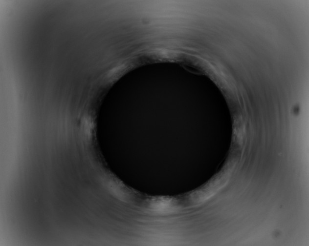 X0000103130235200808291323