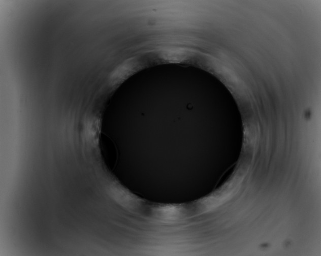 X0000103130237200808291323
