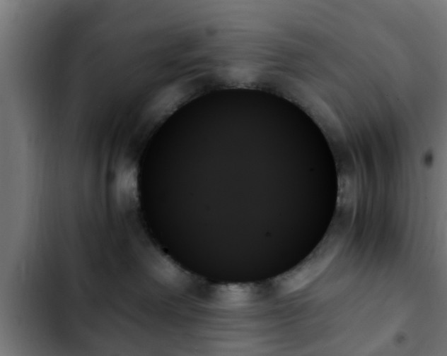 X0000103130238200808291323