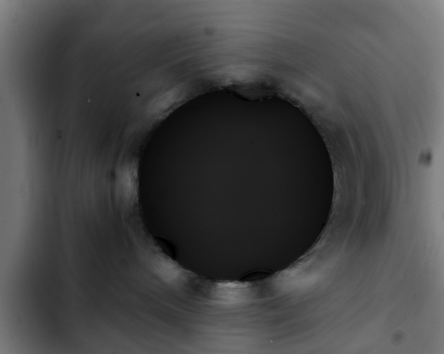 X0000103130240200808291323