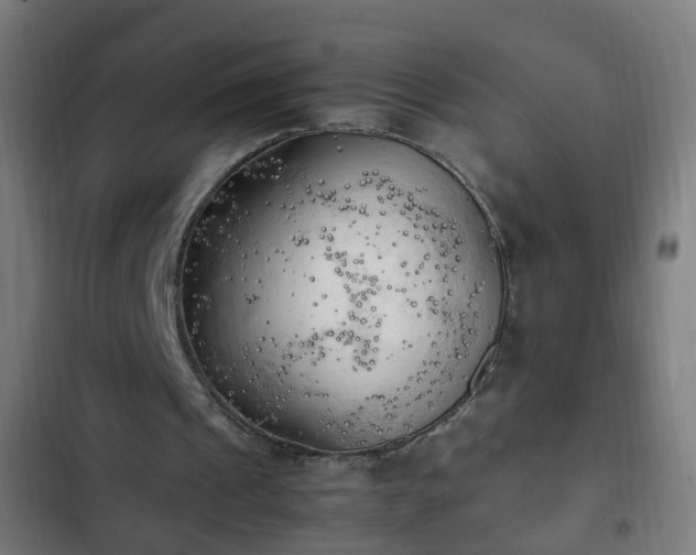X0000103130241200808291322