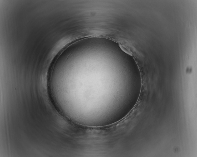 X0000103130242200808291322