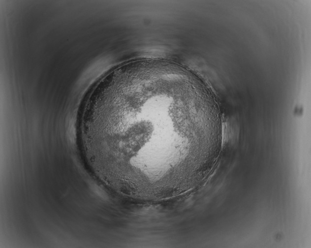 X0000103130243200808291322