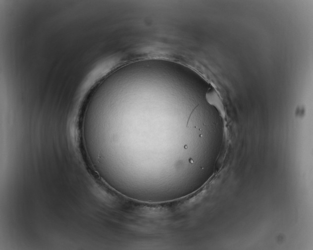 X0000103130245200808291322
