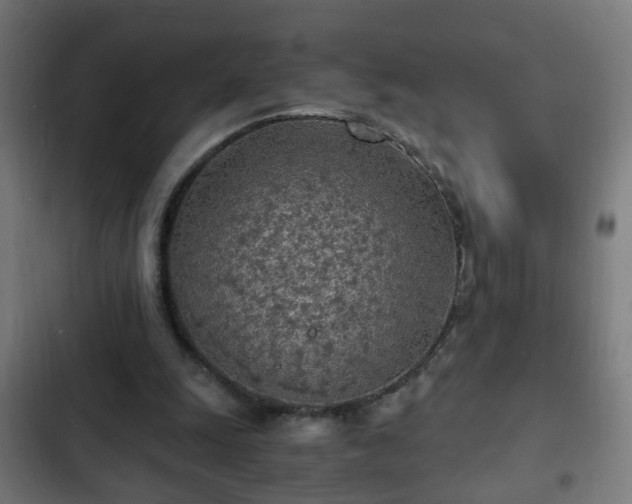 X0000103130247200808291322