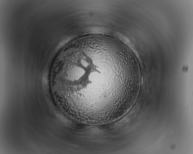 X0000103130249200808291322