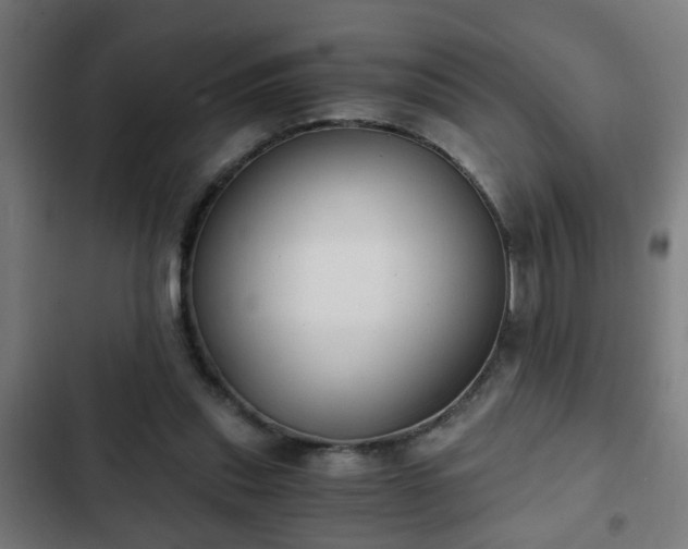 X0000103130253200808291322