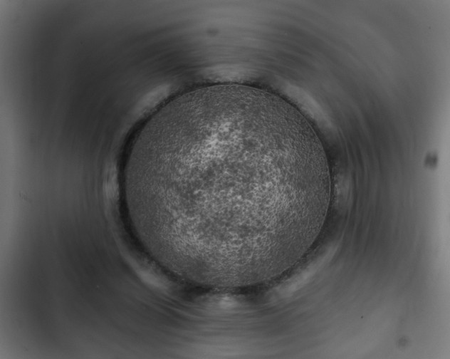 X0000103130254200808291322