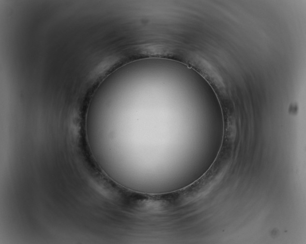 X0000103130255200808291322