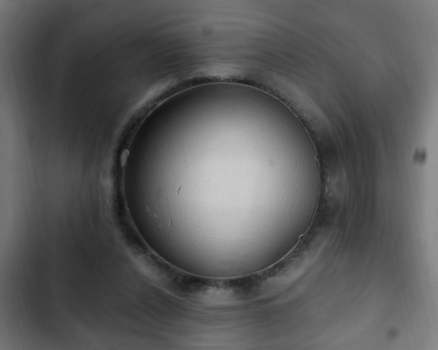 X0000103130256200808291322