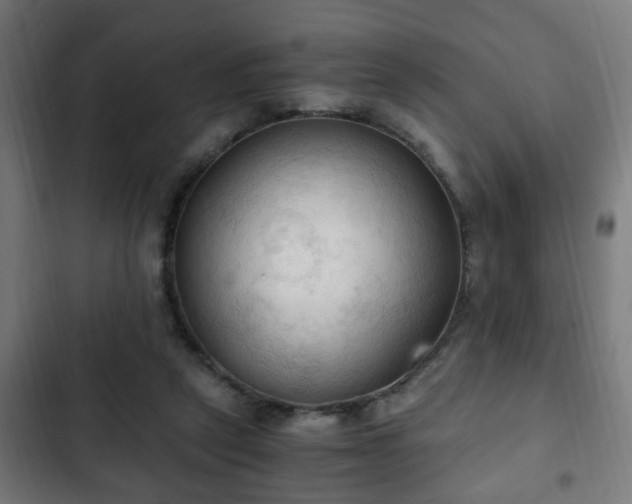 X0000103130257200808291322