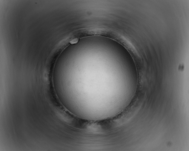 X0000103130258200808291322