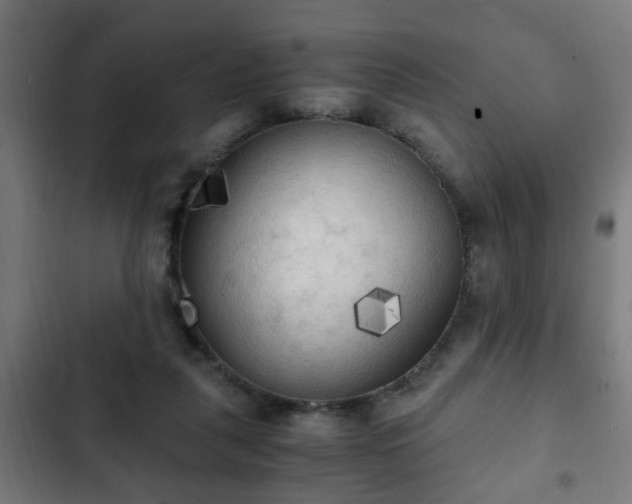 X0000103130259200808291322