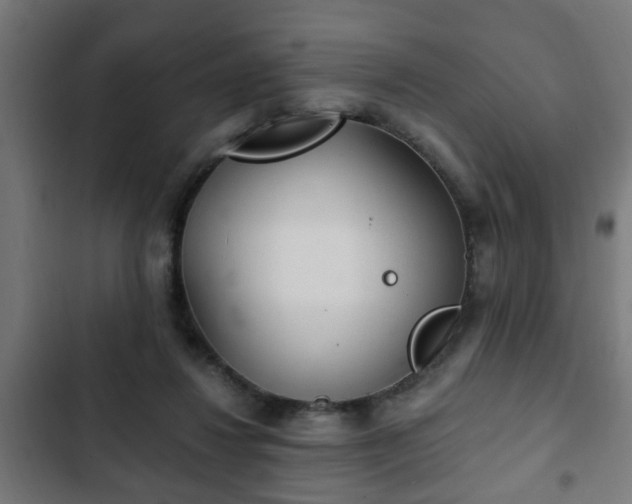 X0000103130260200808291322