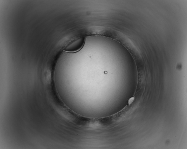 X0000103130262200808291322