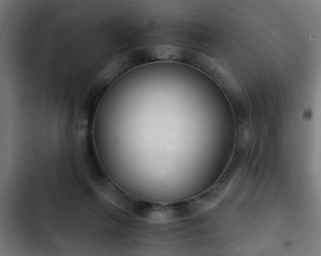 X0000103130263200808291322