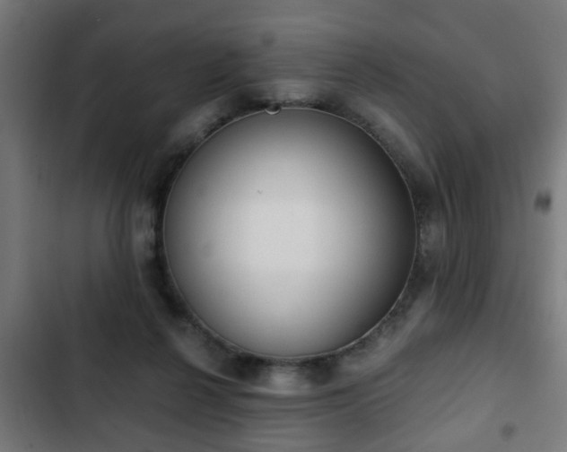 X0000103130264200808291322