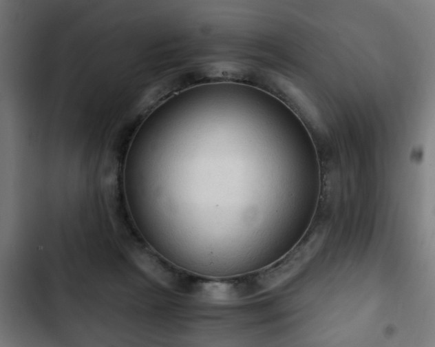 X0000103130265200808291322