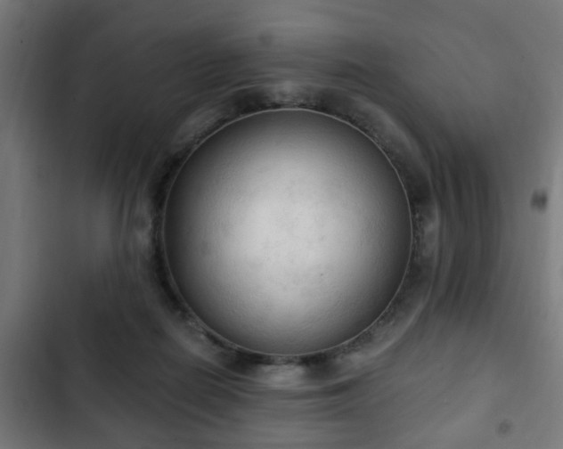 X0000103130266200808291322