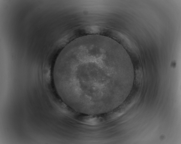 X0000103130267200808291322