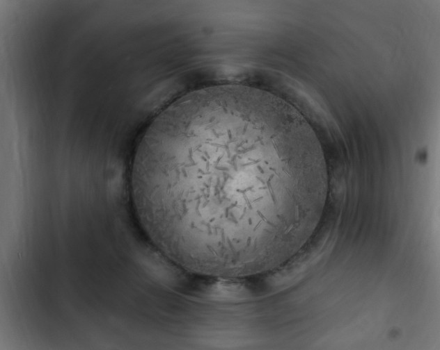 X0000103130270200808291322