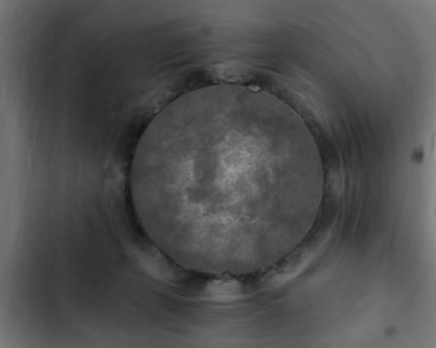 X0000103130271200808291322
