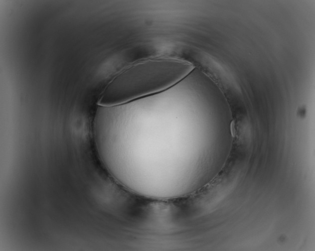 X0000103130272200808291322