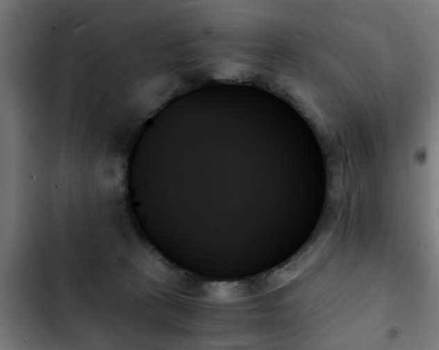 X0000103130273200808291322