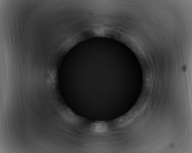 X0000103130275200808291322