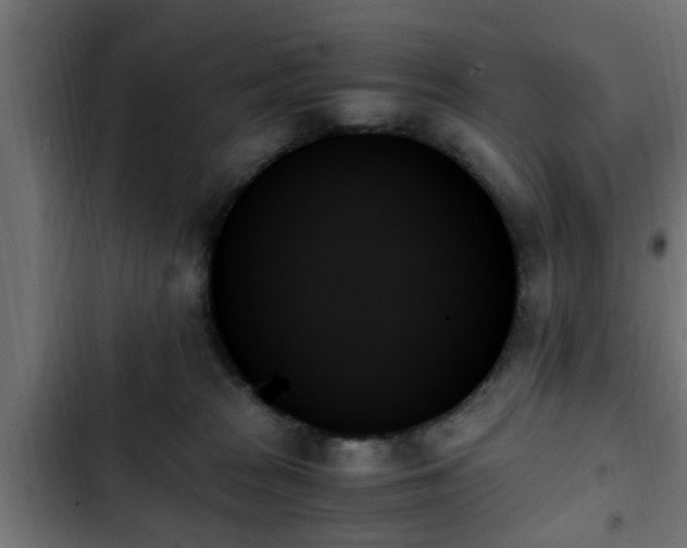 X0000103130277200808291322