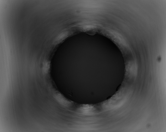X0000103130278200808291322
